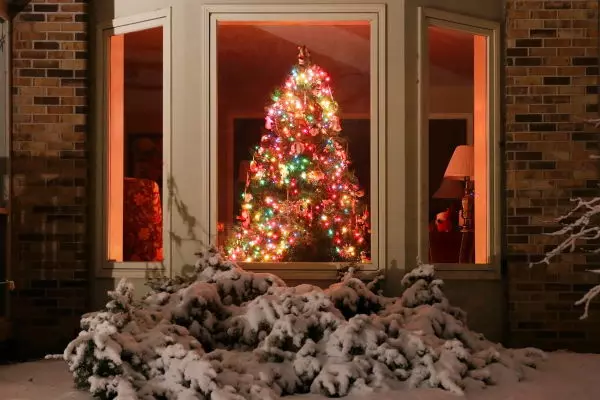 Christmas Tree in a Window